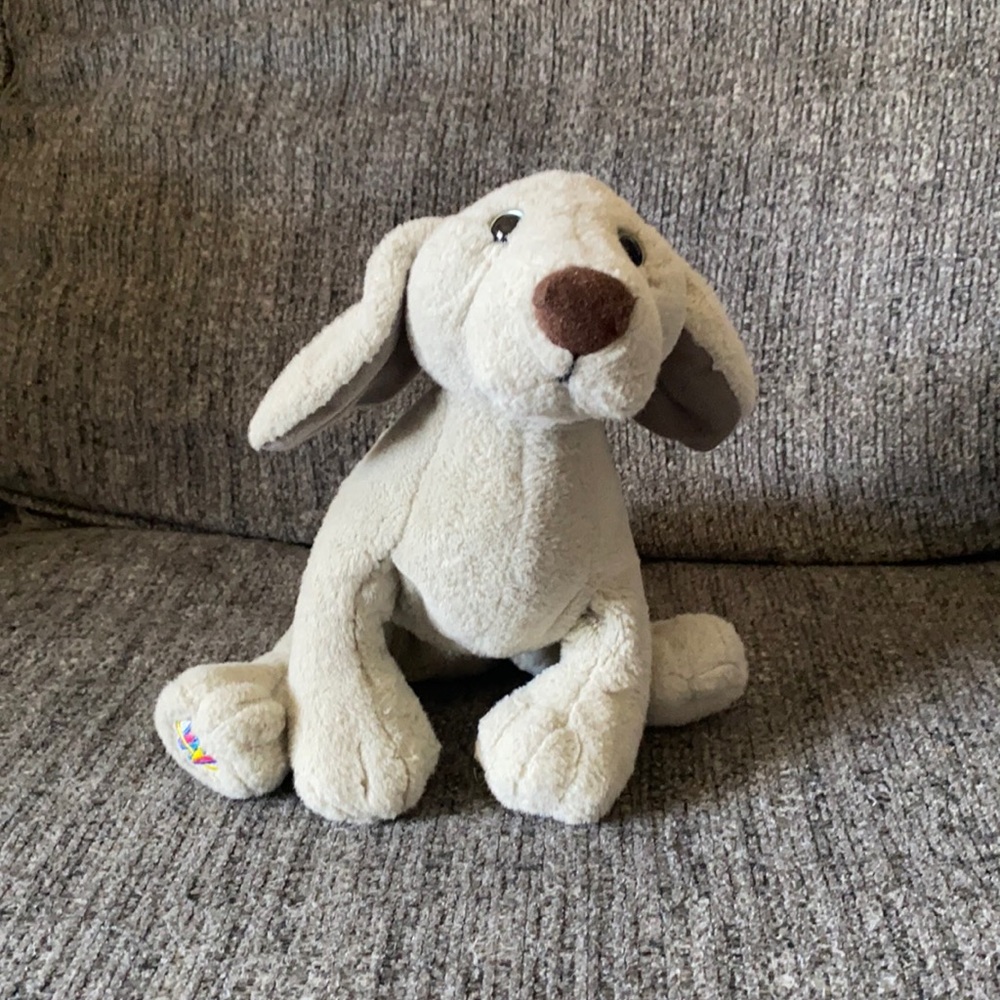 Dog Webkinz